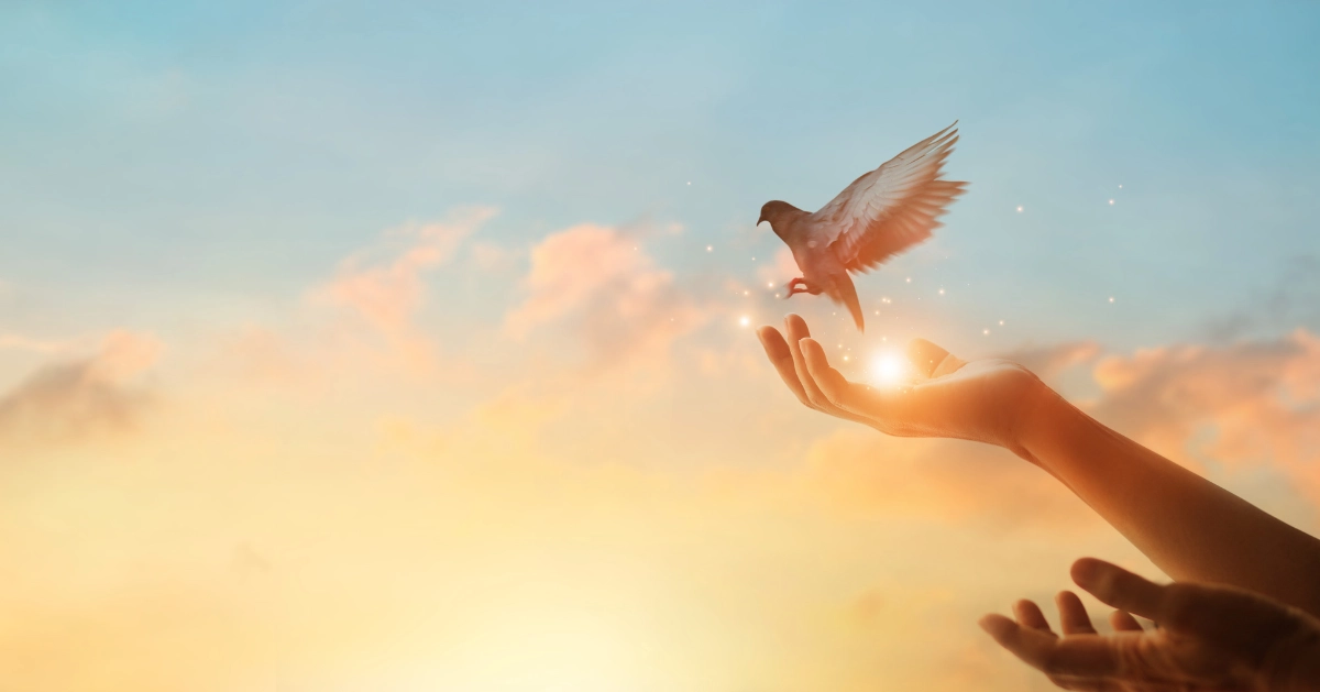 How to Live Life on the Hard Days [Video]