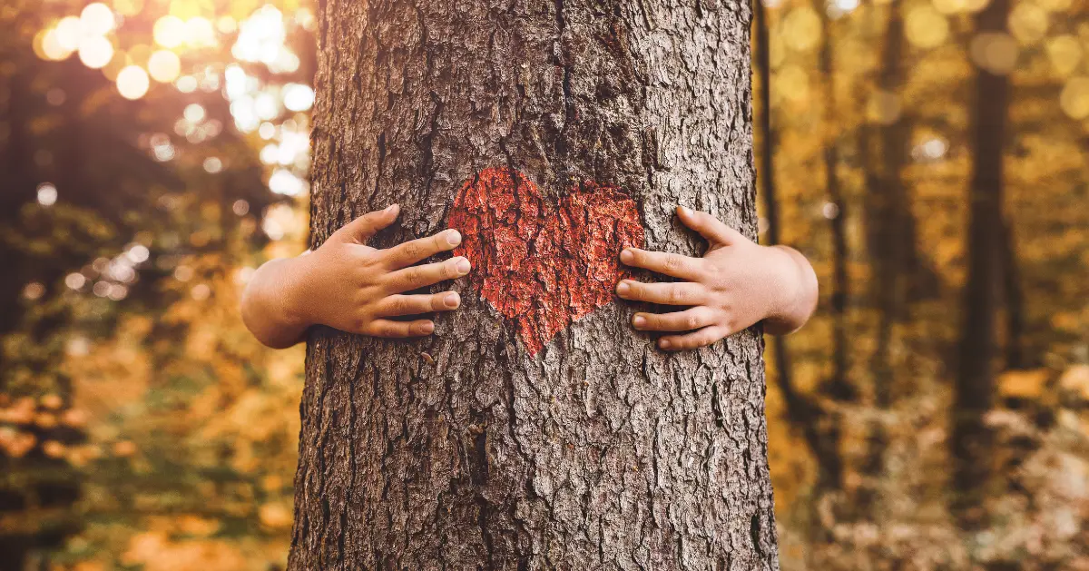 little hands hugging a tree. the tree has a painted red heart on it