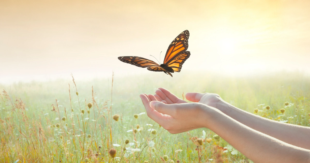 Things to Let Go of for a Happy Life