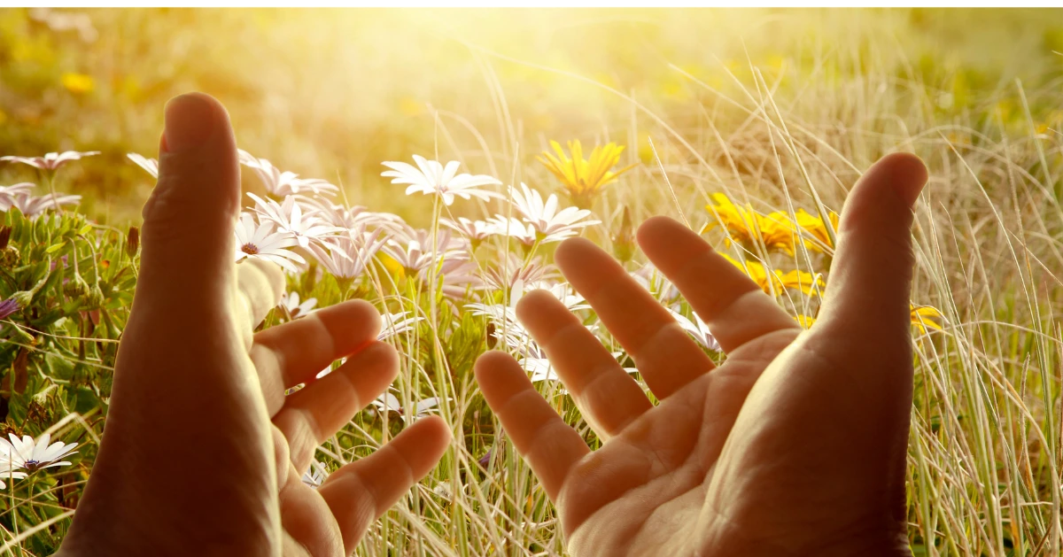 hands reaching out to the sun rise