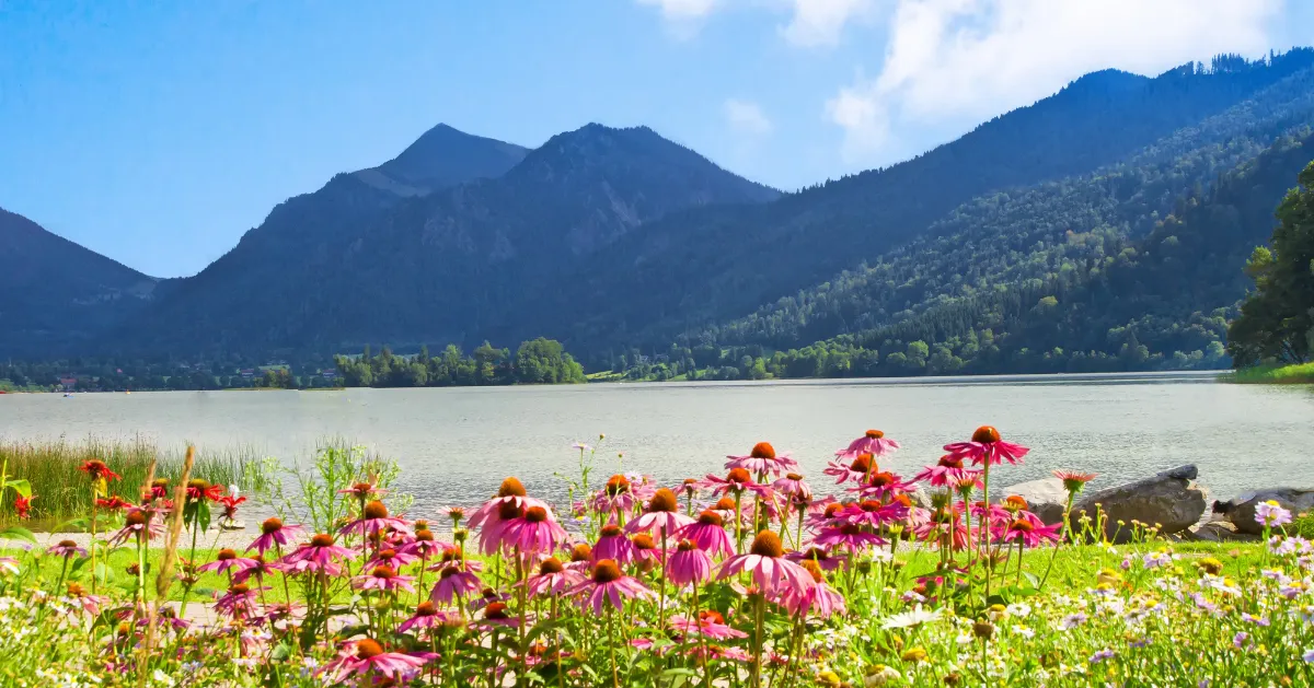 Peaceful view of a lake