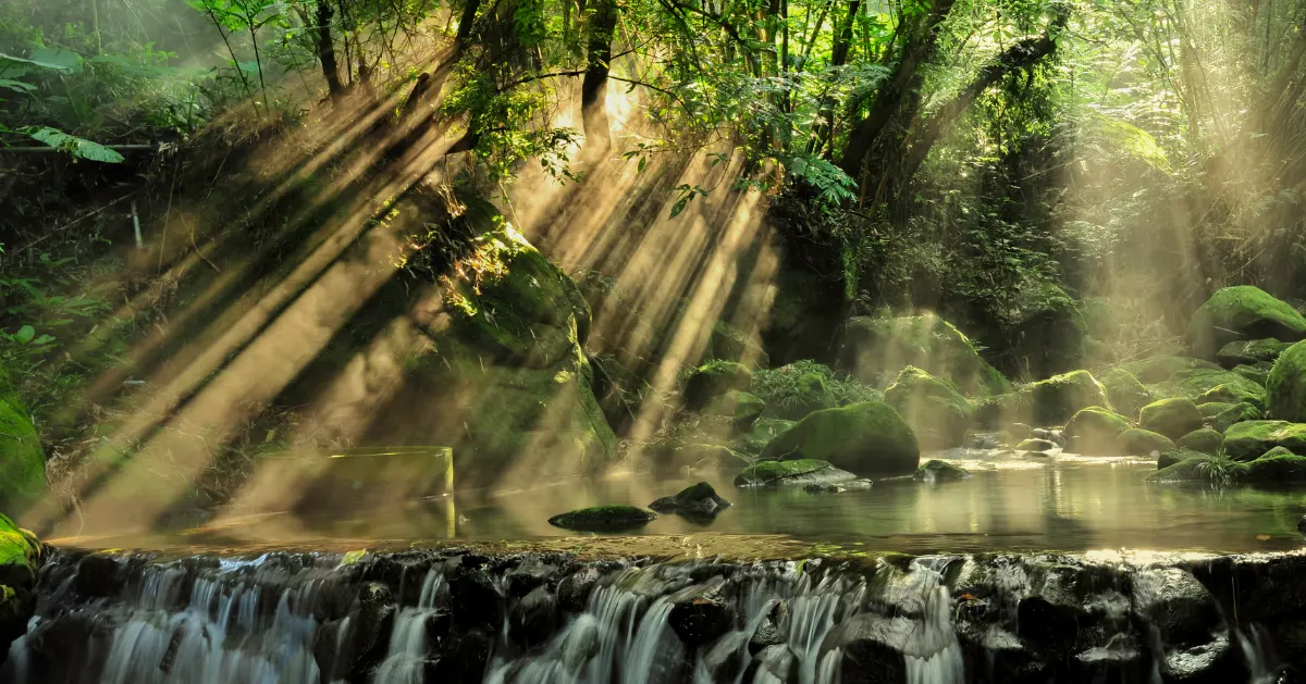 Forrest with a waterfall and light shining through the trees.