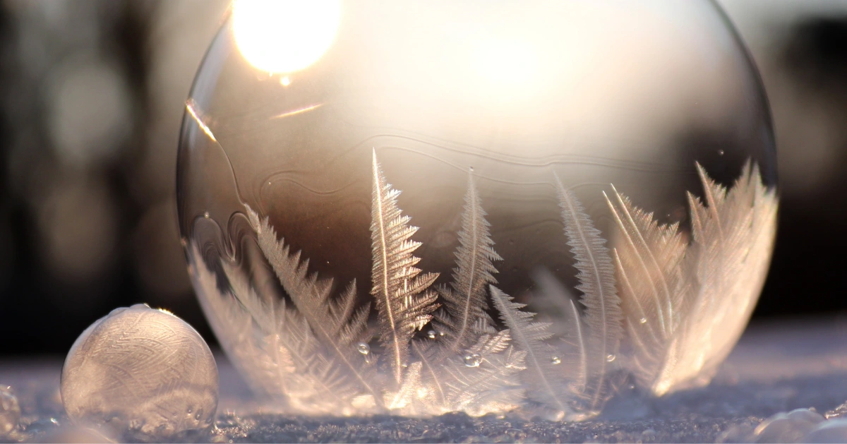 winter